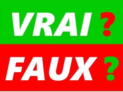 Concertation sur le tunnel: infos pratiques et&nbsp;intox/désintox